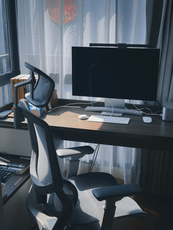 Ergonomic Office Chair